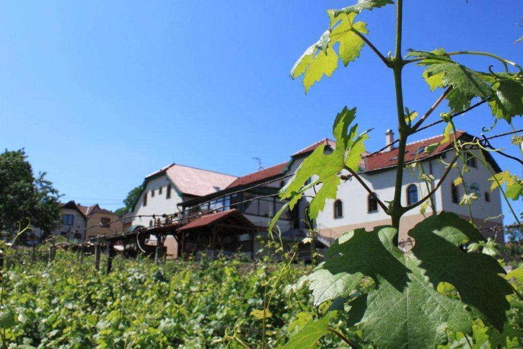 维努格拉特酒店 Milotice 外观 照片